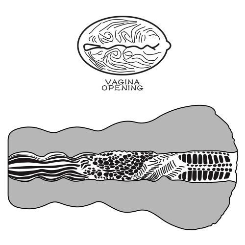 Vagina Artificiale Aliens Pie - immagine 5