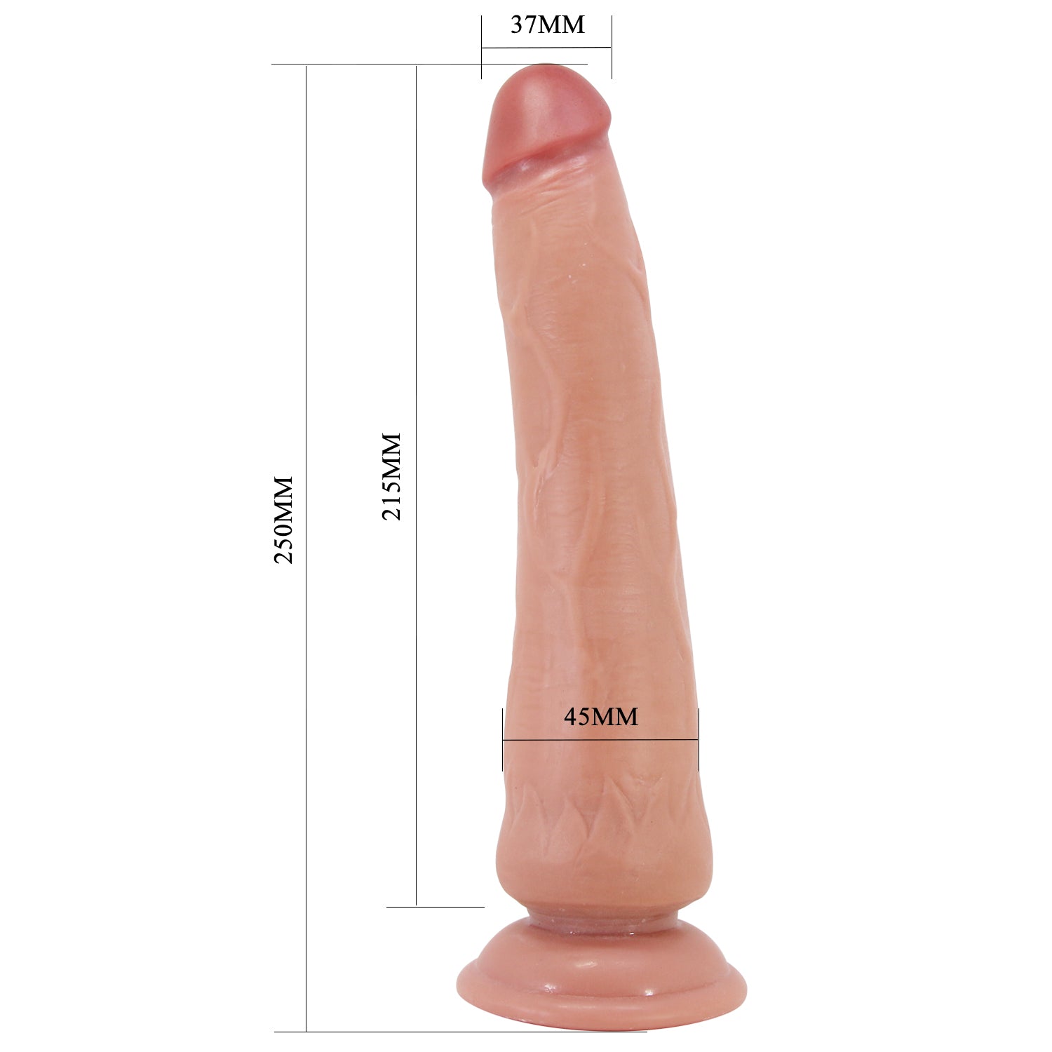 Dildo XXL Tiemeyer 25 cm | Realistico Glide & Slide Skin con Ventosa - immagine 14