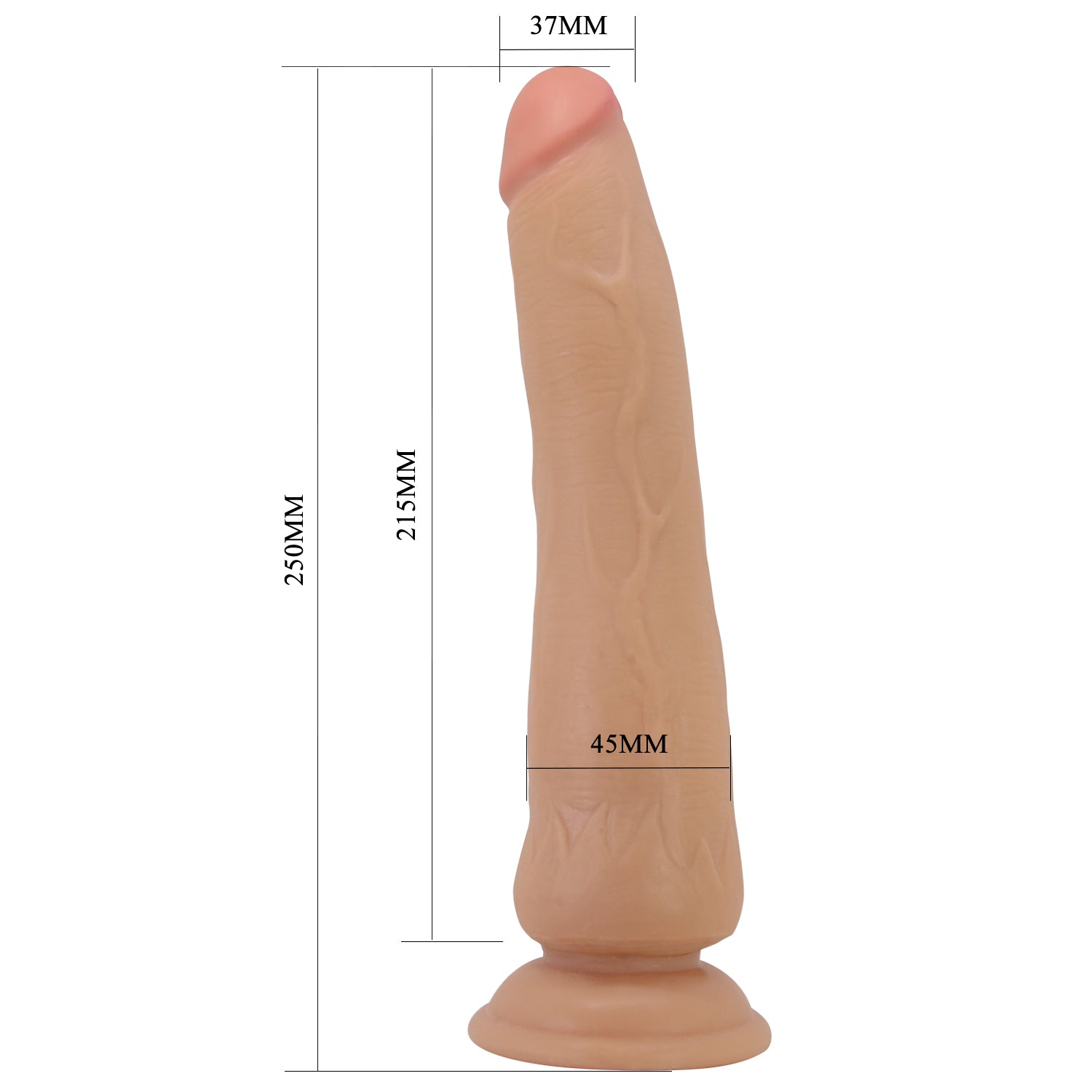 Dildo XXL Tiemeyer 25 cm | Realistico Glide & Slide Skin con Ventosa - immagine 7
